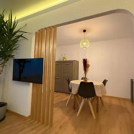 Tres Moderne, Renover, Triple Frontiere, Louis Centre サン・ルイ