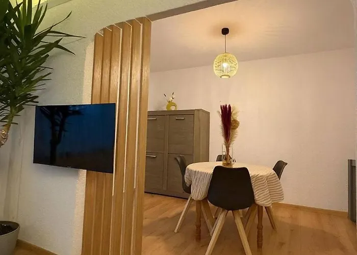 Tres Moderne, Renover, Triple Frontiere, Louis Centre Saint-Louis (Haut-Rhin)