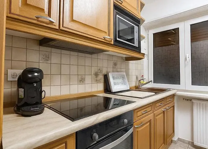 Tres Moderne, Renover, Triple Frontiere, Louis Centre * Saint-Louis (Haut-Rhin)